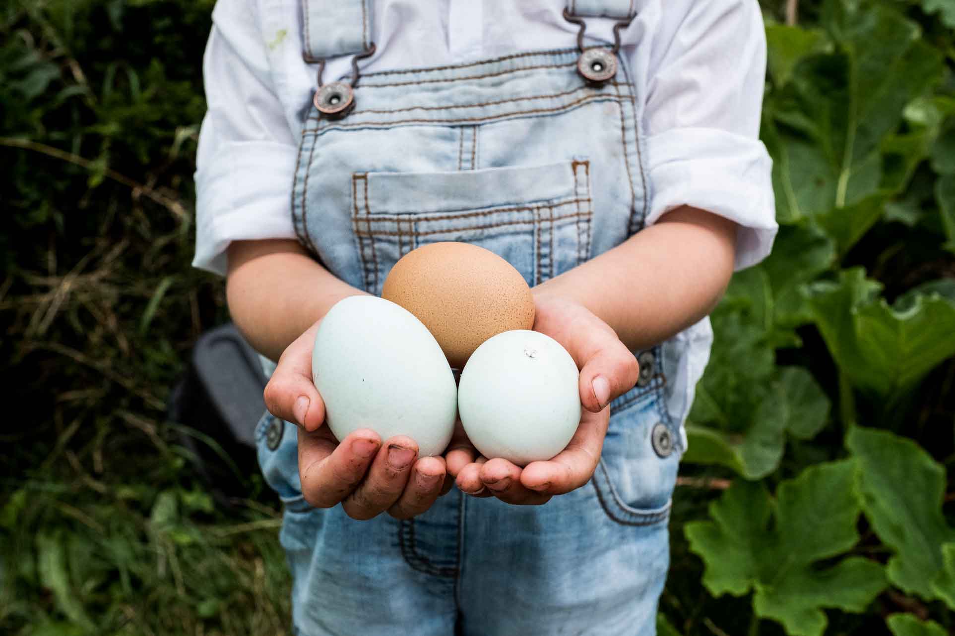 Une femme tient dans ces mains trois œufs